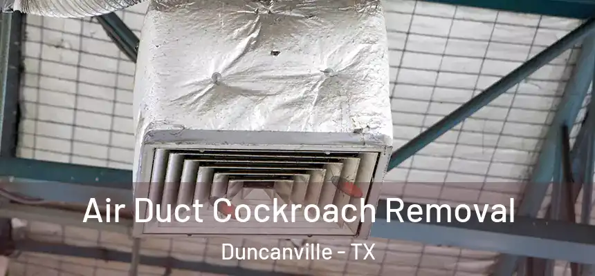  Air Duct Cockroach Removal Duncanville - TX