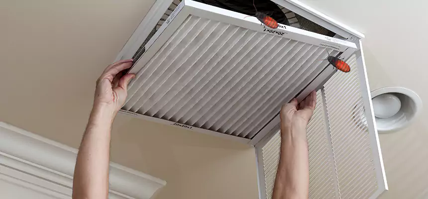 Preventive Cockroach-Proofing for Ducts in Duncanville