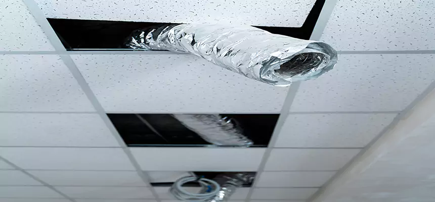 Affordable HVAC Sanitizing After Pest Removal in Duncanville