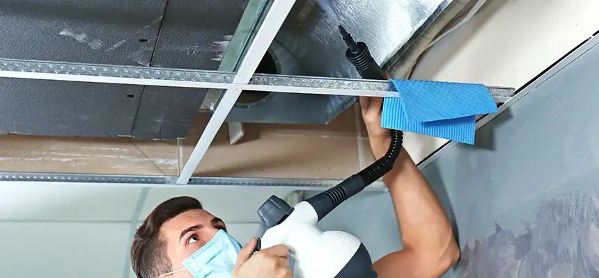 Our Air Duct Rodent Removal Services in Duncanville, TX