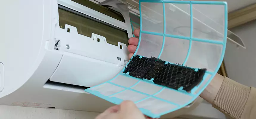 Gentle Ductwork Odor-Control Pet Dander Duct Cleaning in Duncanville, TX