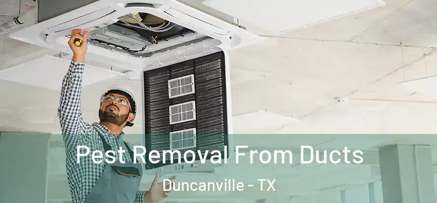  Pest Removal From Ducts Duncanville - TX