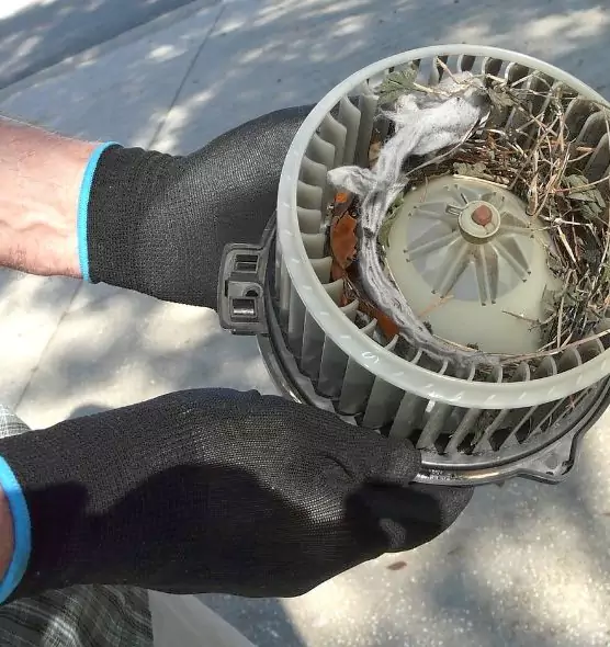 About Air Duct Mice Removal in Duncanville, TX