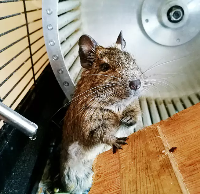 Why Homeowners & Businesses Trust Us Duncanville, TX