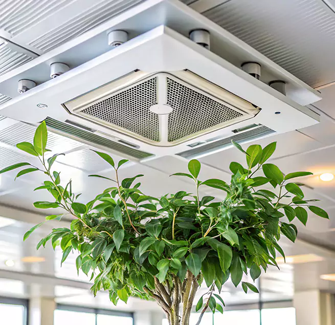 Why Homeowners & Businesses Trust Us in Duncanville, TX?