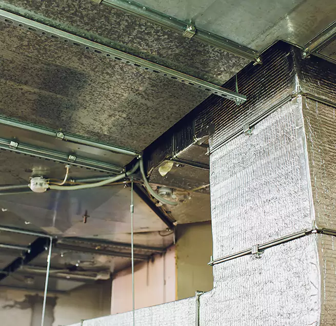 Why Homeowners & Businesses Trust Us in Duncanville, TX?